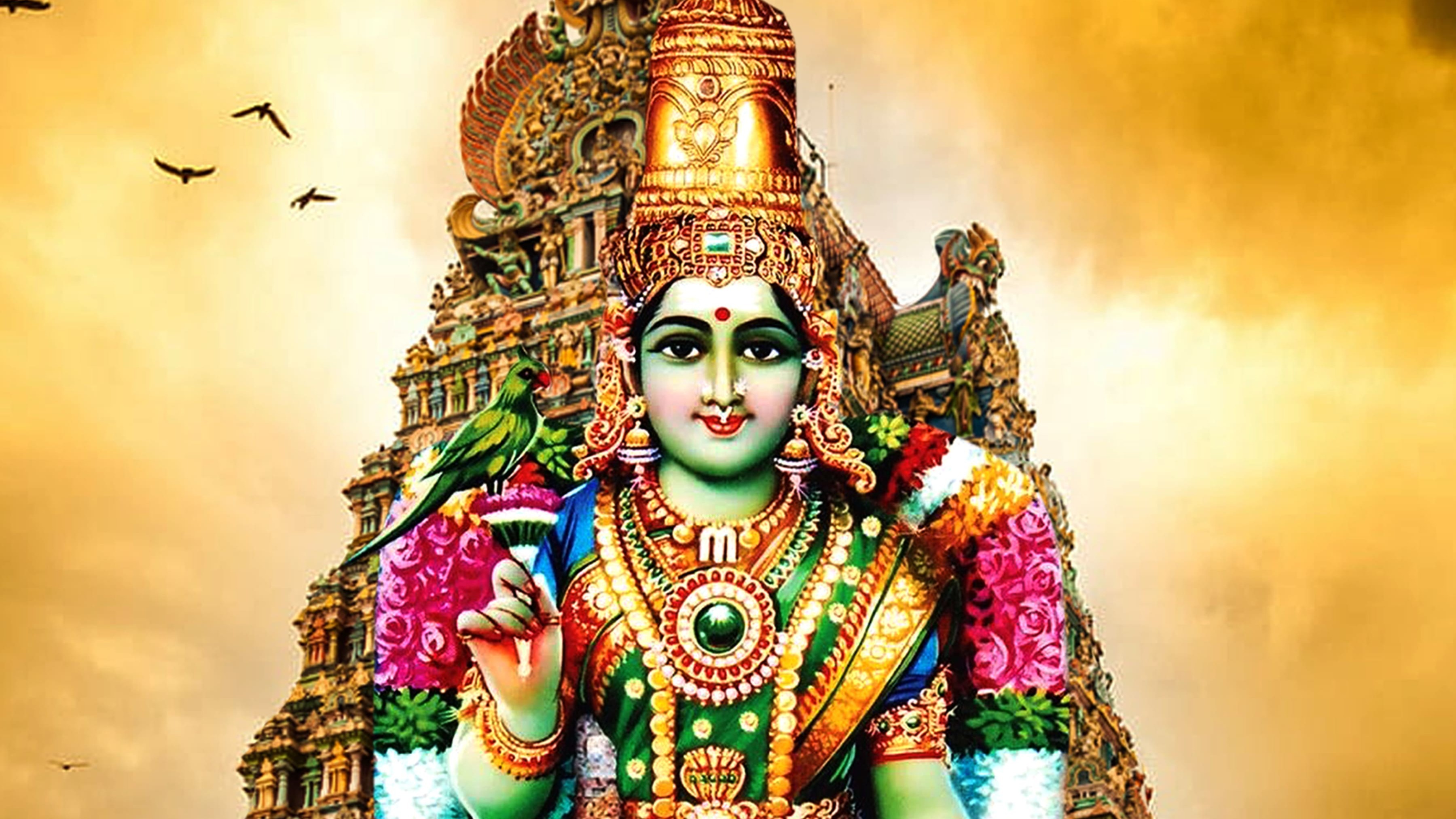 Main Banner Image 1